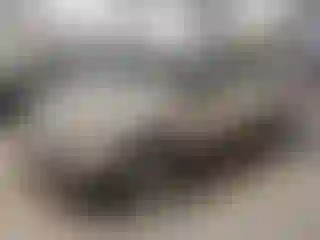Vehicle Image- 2017 Ford Escape