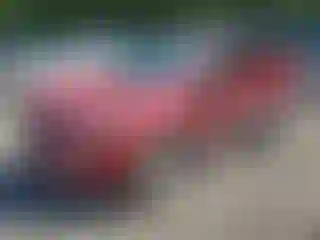 Vehicle Image- 2016 Ford Escape