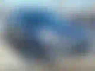 Vehicle Image- 2016 Ford Escape