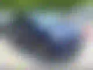 Vehicle Image- 2014 Ford Escape