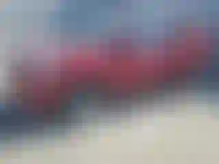 Vehicle Image- 2014 Ford Escape