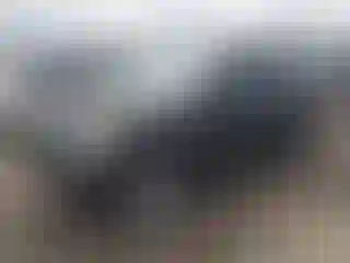 Vehicle Image- 2014 Ford Escape