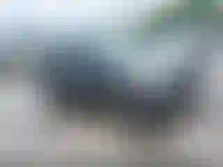 Vehicle Image- 2016 Ford Escape