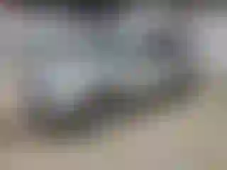 Vehicle Image- 2016 Ford Escape