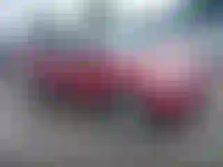Vehicle Image- 2014 Ford Escape