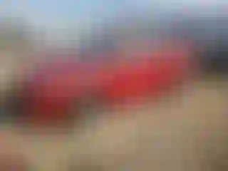 Vehicle Image- 2024 Ford Escape