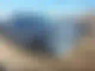 Vehicle Image- 2023 Ford Escape
