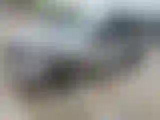 Vehicle Image- 2024 Ford Escape