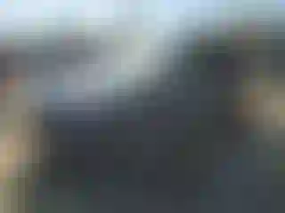 Vehicle Image- 2024 Ford Escape