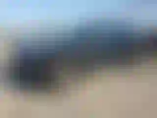 Vehicle Image- 2024 Ford Escape