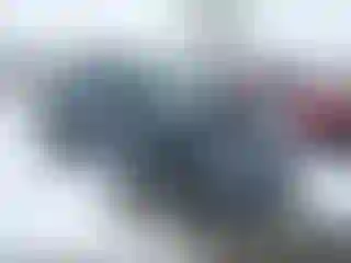 Vehicle Image- 2024 Ford Escape
