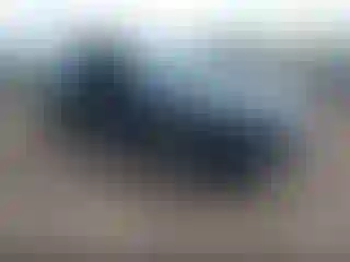 Vehicle Image- 2025 Ford Escape