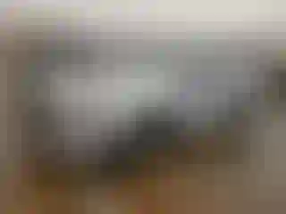 Vehicle Image- 2024 Ford Escape