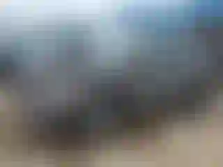 Vehicle Image- 2023 Ford Escape