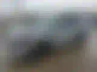 Vehicle Image- 2023 Ford Escape