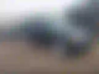 Vehicle Image- 2010 Ford Escape