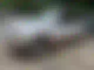 Vehicle Image- 1996 Ford Explorer