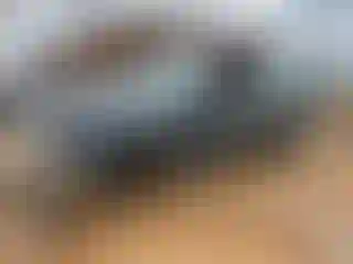 Vehicle Image- 1996 Ford Explorer