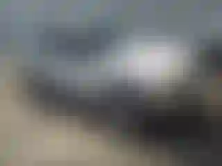 Vehicle Image- 1993 Ford Explorer