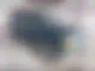 Vehicle Image- 1993 Ford Explorer
