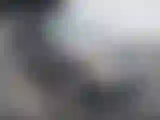 Vehicle Image- 1995 Ford Explorer