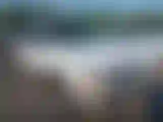 Vehicle Image- 1997 Ford Explorer