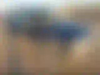 Vehicle Image- 1997 Ford Explorer