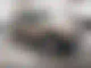 Vehicle Image- 1995 Ford Explorer