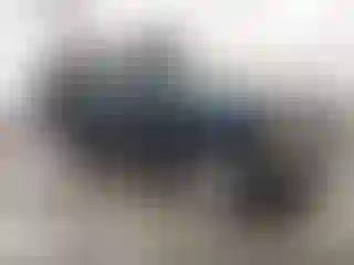 Vehicle Image- 1994 Ford Explorer