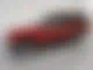 Vehicle Image- 1997 Ford Explorer