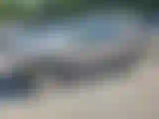 Vehicle Image- 2005 Ford Explorer