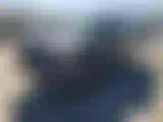 Vehicle Image- 2002 Ford Explorer