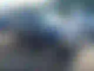 Vehicle Image- 2004 Ford Explorer