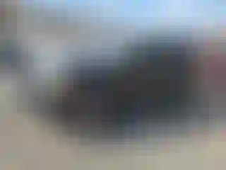 Vehicle Image- 2002 Ford Explorer