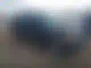 Vehicle Image- 2002 Ford Explorer