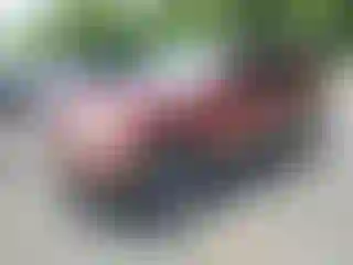 Vehicle Image- 2002 Ford Explorer