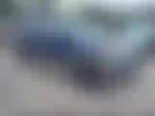 Vehicle Image- 2005 Ford Explorer