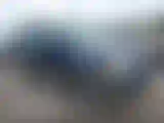 Vehicle Image- 2005 Ford Explorer