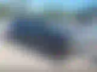 Vehicle Image- 2003 Ford Explorer