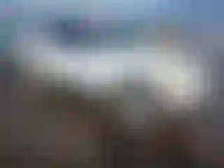 Vehicle Image- 2003 Ford Explorer