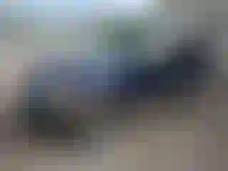 Vehicle Image- 2005 Ford Explorer