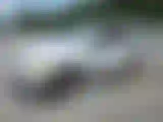 Vehicle Image- 2002 Ford Explorer