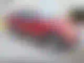 Vehicle Image- 2004 Ford Explorer