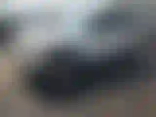 Vehicle Image- 2002 Ford Explorer