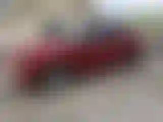 Vehicle Image- 2004 Ford Explorer