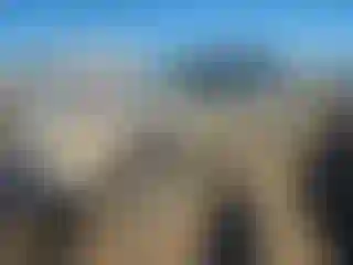 Vehicle Image- 2005 Ford Explorer