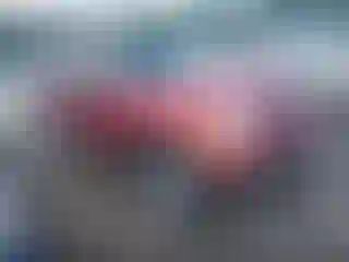 Vehicle Image- 2004 Ford Explorer