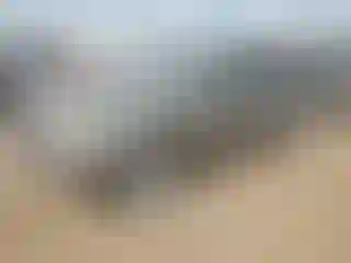 Vehicle Image- 2000 Ford Explorer