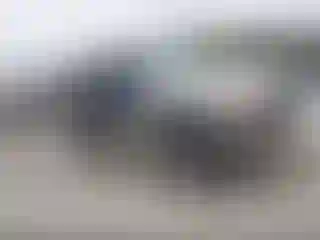 Vehicle Image- 1990 Ford Bronco