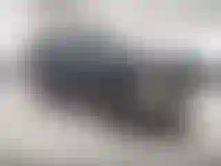 Vehicle Image- 1995 Ford Bronco